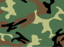 Pla camo.svg