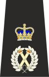 Metropolitan Police Assistant Commissioner Epaulette