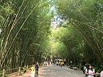 Wat Chulabhorn Wanaram วัดจุฬาภรณ์วนาราม นครนายก 01.jpg