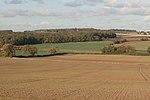 Across the fields to Grove - geograph.org.uk - 1009893.jpg