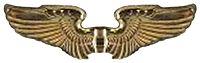 USAAF - Civilian Flight Instructor.jpg