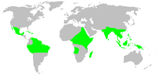 Distribution.ochyroceratidae.1.png