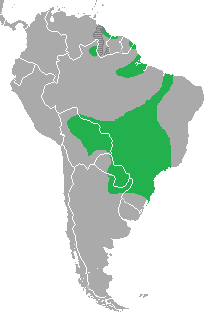 Glauco area.png