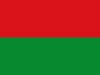 Flag of Arauca Department