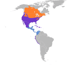 Charadrius vociferus map.svg