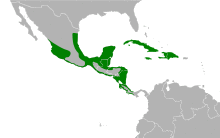 Jacana spinosa map.svg