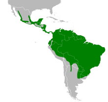 Piaya cayana map.svg