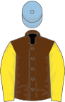 Brown, yellow sleeves, light blue cap