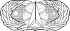 USAF - Occupational Badge - Space and Missile.svg