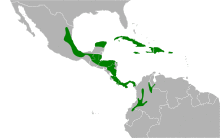 Tiaris olivaceus map.svg
