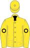 Owner Fannie Hertz.svg