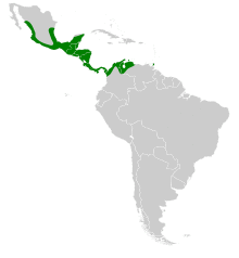 Centurio senex map.svg