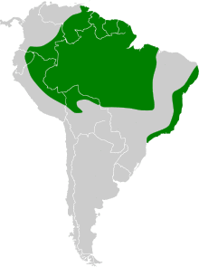Phaethornis ruber map.svg