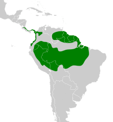 Querula purpurata map.svg