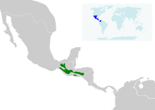 Turdus rufitorques map.svg