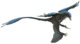 Fred Wierum Microraptor.png