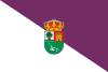 Flag of Valdenebro