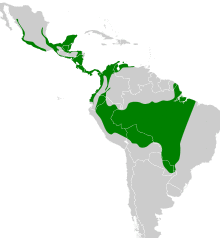 Tityra semifasciata map.svg