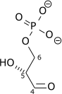 D-glyceraldehyde-3-phosphate wpmp.png