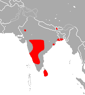 Indian Roundleaf Bat area.png