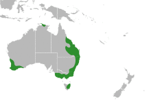 Hovea Distribution Map.svg