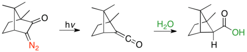 Ring contraction of α-diazocamphor via Wolff-rearrangement, followed by hydration from more sterically accessible endo face.