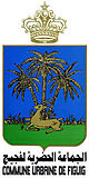 Official seal of Figuig Figig