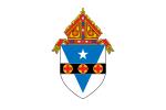 Flag of the Roman Catholic Archdiocese of Philadelphia.svg