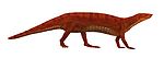 Neoaetosauroides.jpg