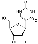 Pseudouridine.svg