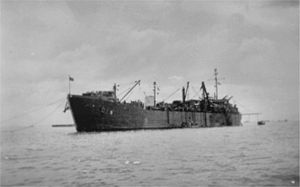Phaon ARB-3.jpg