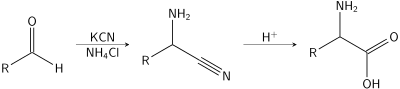 For the steps in the reaction, see the text.