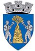 Coat of arms of Baia Sprie