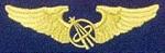 NASA civilian astronaut wings
