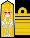 British Royal Navy OF-10-collected.svg