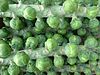 Brussels sprouts (4103982312) (2).jpg