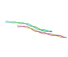 1C1G Tropomyosin crystal.png