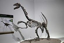 Erliansaurus mount.jpg