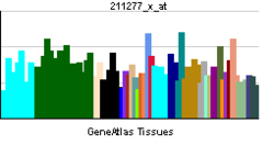 PBB GE APP 211277 x at.png