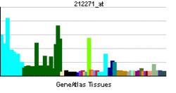 PBB GE MAPK1 212271 at.png