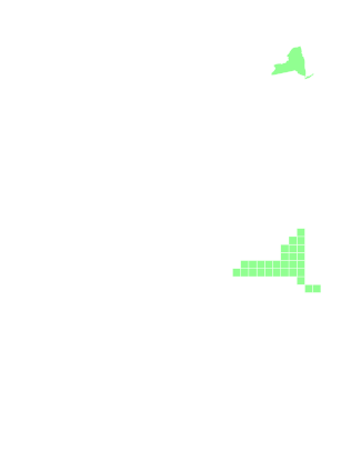NY green.svg
