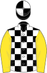Black and white check, yellow sleeves, black and white quartered cap