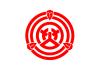 Flag of Okazaki