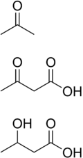 Ketone bodies.png
