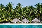 Bangaram Island, Lakshadweep 20160325- DSC1780.jpg