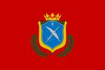Flag of Vitigudino