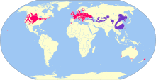 Phasianus colchicus map.svg