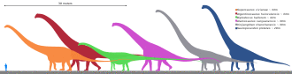 Size comparison of silhouettes of a human and six genera of giant sauropod dinosaurs, including Argentinosaurus