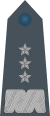 Rank insignia of generał broni of the Air Force of Poland.svg