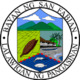 Official seal of San Fabian